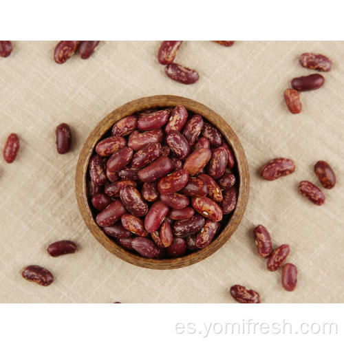 Rice de frijoles arroz